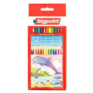 Bigpoint KURU BOYA KALEMİ AQUARELLE 12 RENK & SULU KURU BOYA FIRÇALI