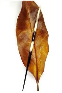 Mhr Kirpi Oku Mhr Kirpi Oku