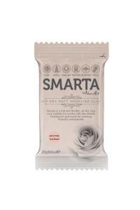 SMARTA HAVAYLA KURUYAN MODELLEME HAMURU TEN (250 GR * 6 * 1) SMARTA HAVAYLA KURUYAN MODELLEME HAMURU TEN (250 GR * 6 * 1)