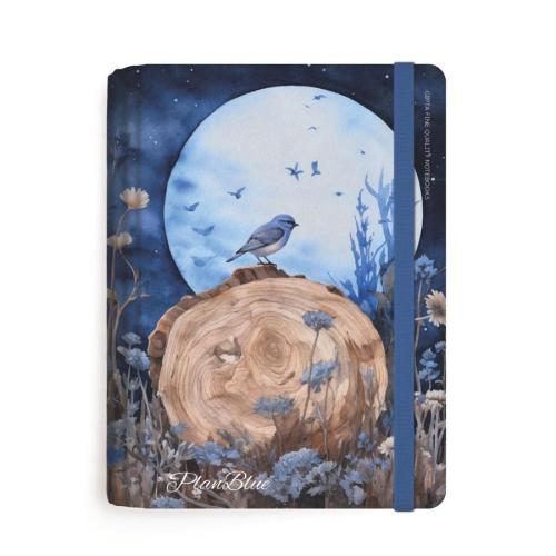 Gıpta Defter Plan Blue 13x21 Spiralli Sert Kapak 120 YP. Ç+K 7294