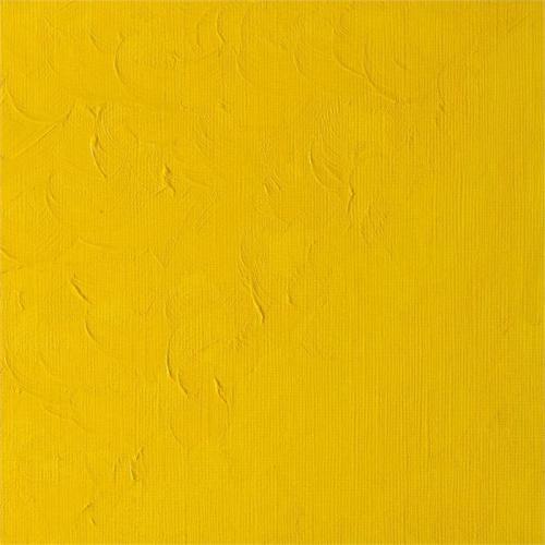 Winsor Newton Winton Yağlı Boya 37ml Cadmıum Yellow Pale Hue