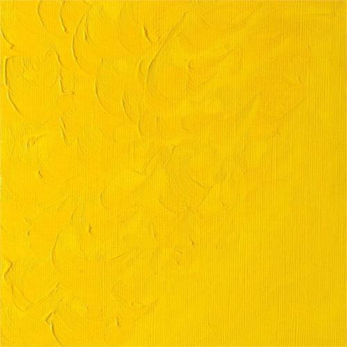 Winsor Newton Winton Yağlı Boya 37ml Chrome Yellow hue