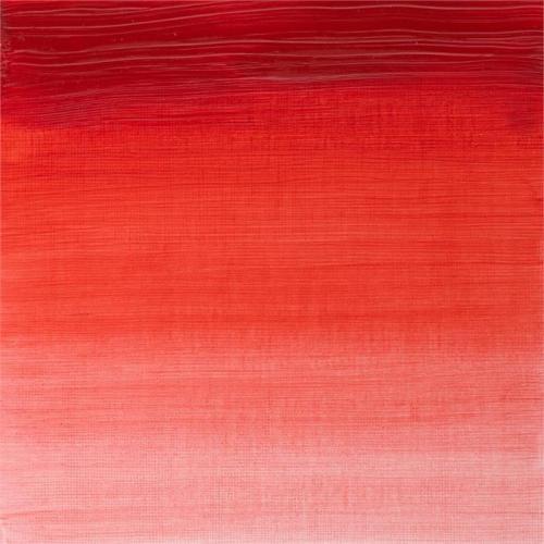 Winsor Newton Winton Yağlı Boya 37ml Permament Geranıum Lake